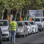 Manifestación UPA Andalucía de los agricultores ante los bajos precios de la aceituna de mesa ante el Palacio de San Telmo.
