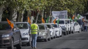 Manifestación UPA Andalucía de los agricultores ante los bajos precios de la aceituna de mesa ante el Palacio de San Telmo.