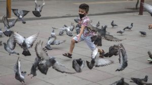 Un niño con mascarilla espanta a unas palomas en Teherán