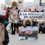 Participantes en la manifestación en Madrid "contra la caza, el maltrato, el abandono y la matanza" de perros