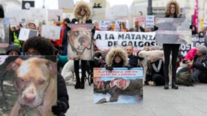 Participantes en la manifestación en Madrid "contra la caza, el maltrato, el abandono y la matanza" de perros