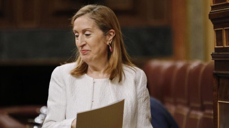 La vicepresidenta segunda del Congreso y diputada del PP, Ana Pastor, se dirige a intervenir en una sesión plenaria en el Congreso de los Diputados, en Madrid