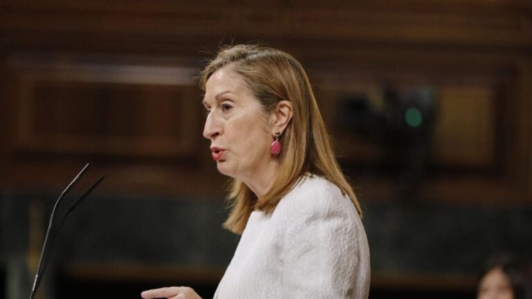 La vicepresidenta segunda del Congreso y diputada del PP, Ana Pastor, interviene durante una sesión plenaria en el Congreso de los Diputados