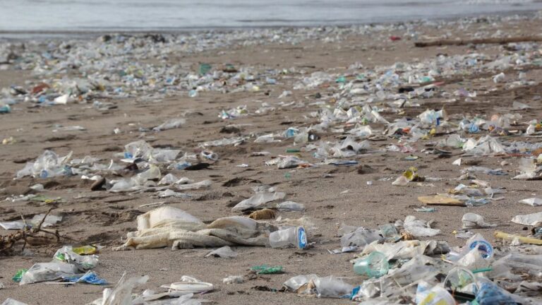 Plásticos playa contaminación