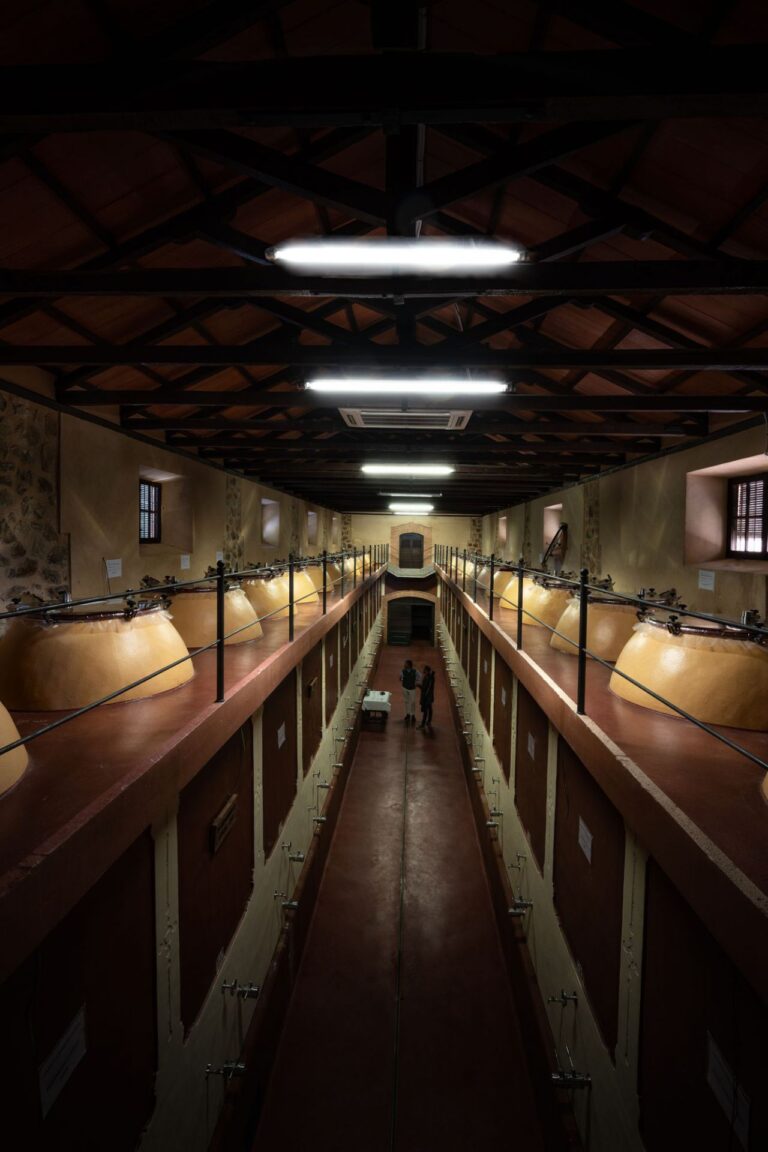 Bodega Encomienda de Cervera