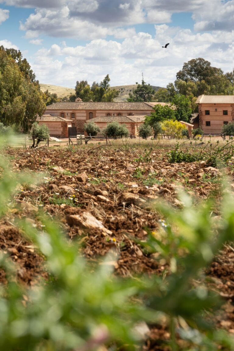 Encomienda de Cervera