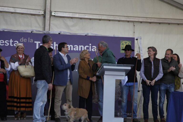 Fiesta de la trashumancia