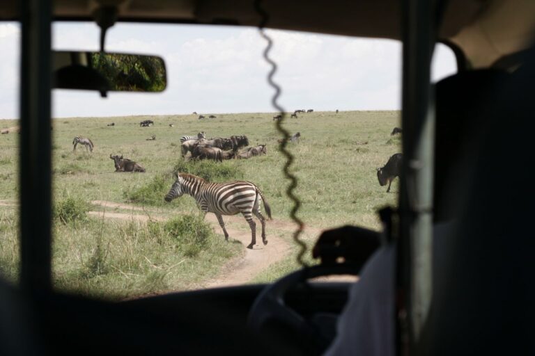 Safari camion Africa Kenia