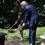 Donald Trump plantando un árbol