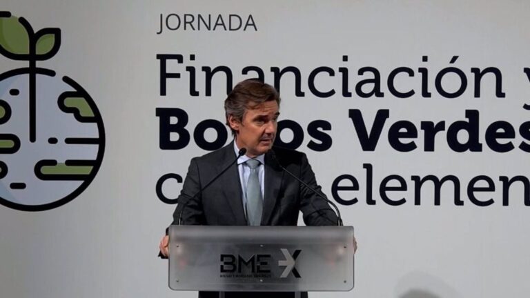 El secretario general del Tesoro, Carlos San Basilio