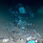 Oceana denuncia que el 99 por ciento del plástico que queda abandonado en el mar termina en el fondo y apenas el 1 por ciento se queda en superficie