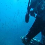 Buceador submarinista submarinismo especies UICN agua mar mediterráneo