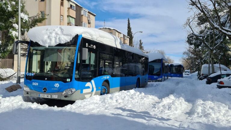 Varios autobuses de la Empresa Municipal de Transportes (EMT)