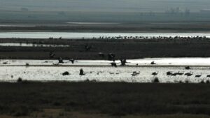 LAGUNA DE GALLOCANTA