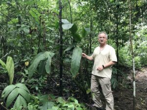 Josep Peñuelas / CREAF