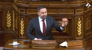 Santiago Abascal muestra un adoquín en el Congreso.