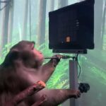 Macaco jugando al Pong con su mente - NEURALINK