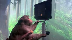 Macaco jugando al Pong con su mente - NEURALINK