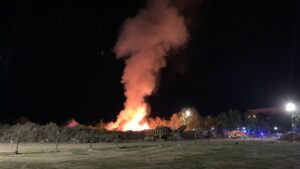 Restos de vegetación acumulados de Filomena provocan un incendio en Villaviciosa de Odón. - EUROPA PRESS