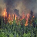 Incendio forestal en un bosque boreal de Alaska. / Adam Kohley, Alaska Fire Service