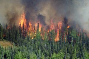 Incendio forestal en un bosque boreal de Alaska. / Adam Kohley, Alaska Fire Service