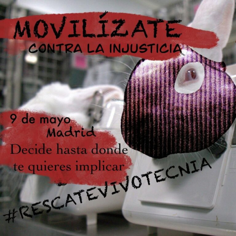 Convocan protesta y corte del tráfico el día 9 para que requisen a los animales del laboratorio Vivotecnia - ASAMBLEA #RESCATEVIVOTECNIA