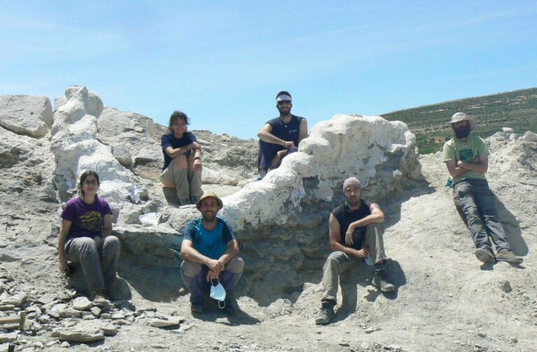 El equipo tras la excavación de la serie vertebral articulada, una vez protegida con yeso. / Diego Castanera / ICP