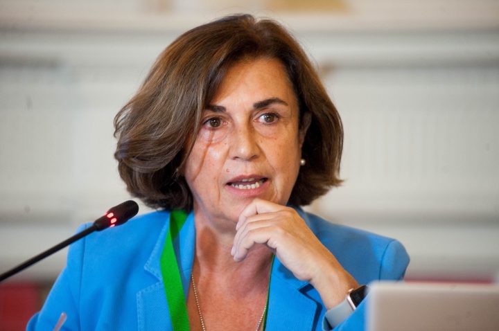 Ángeles Santamaría, Consejera Delegada de Iberdrola España, durante su intervención en el curso de verano organizado por la APIE en la UIMP de Santander.