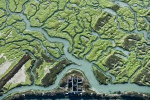 Vista aérea de las marismas de Doñana. / © Héctor Garrido (EDB-CSIC)
