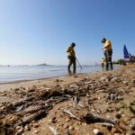 Operarios retiran del mar los peces muertos que han aparecido por quinto día consecutivo este viernes en las playas del Mar Menor en Murcia /© Juan Carlos Caval (EFE)