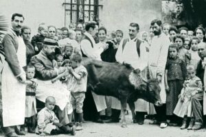 Inoculación de pus de vaca en el Hospital de Niños Pobres de Barcelona, hacia 1890. / CC Ayuntamiento de Barcelona