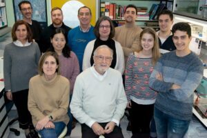 El equipo de Isabel Sola, Luis Enjuanes y Sonia Zúñiga en el laboratorio de coronavirus del CNB-CSIC / CSIC