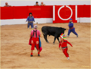 Bombero Torero