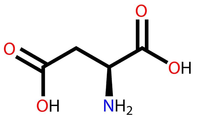 Este aminoácido se utiliza para la formación de proteínas en el cuerpo