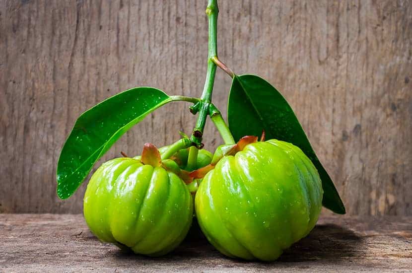 Según estudios la garcinia cambogia puede regular los niveles de serotonina