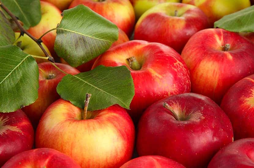 La pectina de manzana podría aumentar la sensación de saciedad