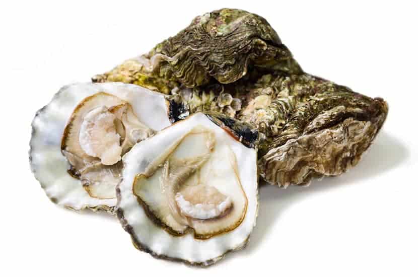 Las ostras son ricas en zinc, hierro, selenio y calcio