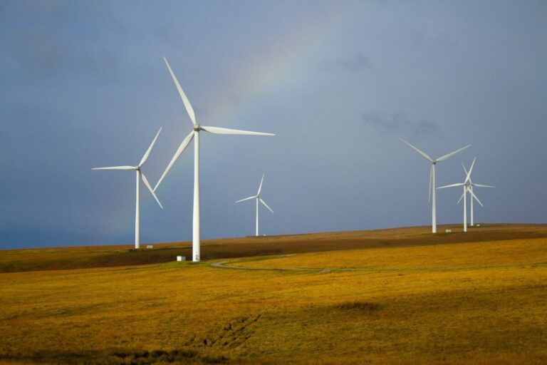 Molinos de viento