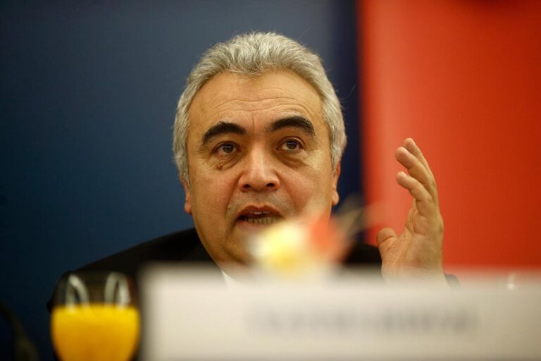 El economista jefe de la Agencia Internacional de la Energía, Fatih Birol. - EUROPA PRESS