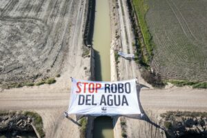 Despliegue de la pancarta 'Stop robo del agua' en Doñana en una iniciativa de WWF