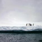 Hielo marino en la Antártida. / Unsplash