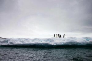 Hielo marino en la Antártida. / Unsplash