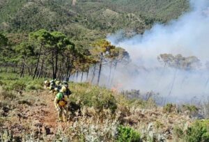 Las unidades de extinción trabajan sobre el terreno | Foto: Junta de Andalucía