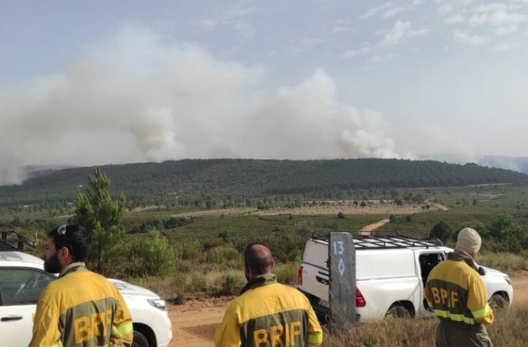 Incendio forestal | Foto: Miteco