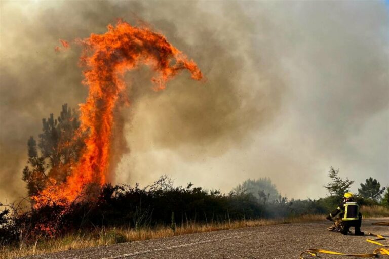 Efectivos de bomberos en la extinción de un incendio forestal en la carretera N120 en A Cañiza (Pontevedra) el 31 de julio. EFE/ Alberto Sxenick