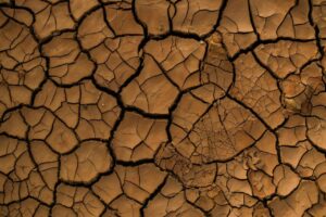 La humedad del suelo disminuirá un 74 % en zonas clasificadas como no áridas actualmente. / Pixabay