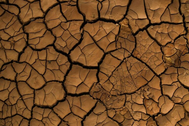 La humedad del suelo disminuirá un 74 % en zonas clasificadas como no áridas actualmente. / Pixabay