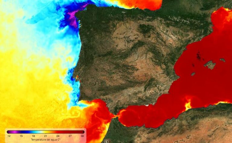 Temperatura del agua que rodea España a las 11.30 horas de hoy | Imagen de Puertos del Estado