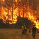 Brigadistas forestales trabajan ante un incendio forestal | Foto: Miteco