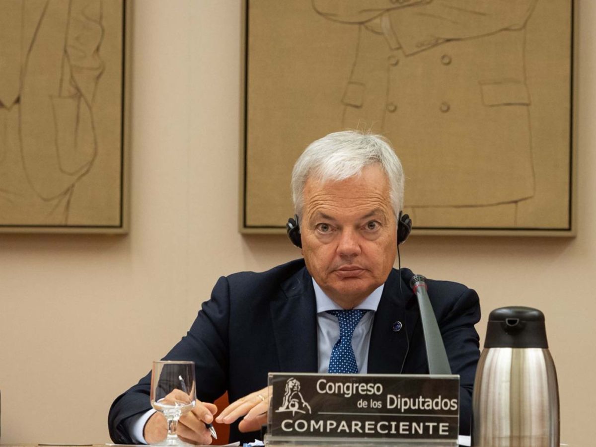 Reynders en la Comisión Mixta para la Unión Europea | Foto del Congreso